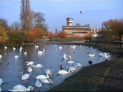 Slimbridge new Tower