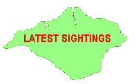 IOW Sightings